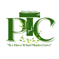 Plano Tree Care