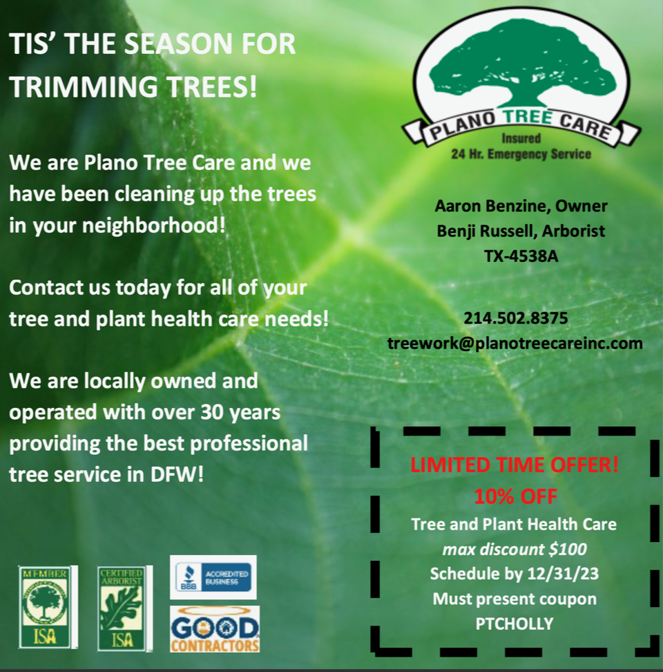 Season For Trimming Trees