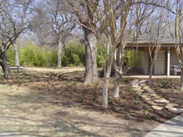 New landscaping